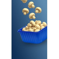 Для грибов